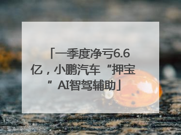 一季度净亏6.6亿，小鹏汽车“押宝”AI智驾辅助